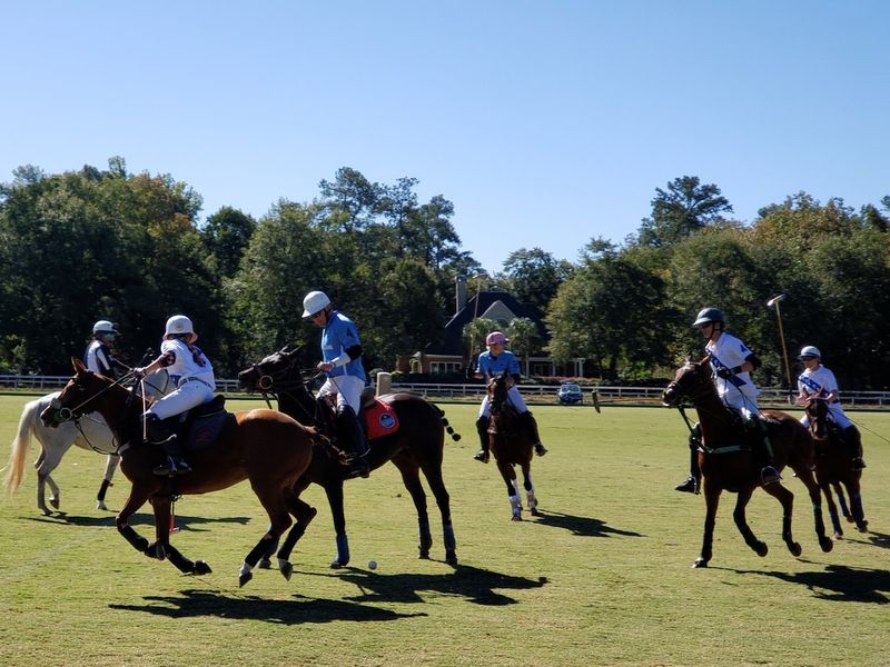 Polo Culture Runs Deep Here