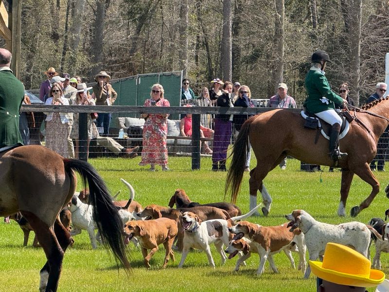 The Horse Culture That Gives Aiken Its Soul