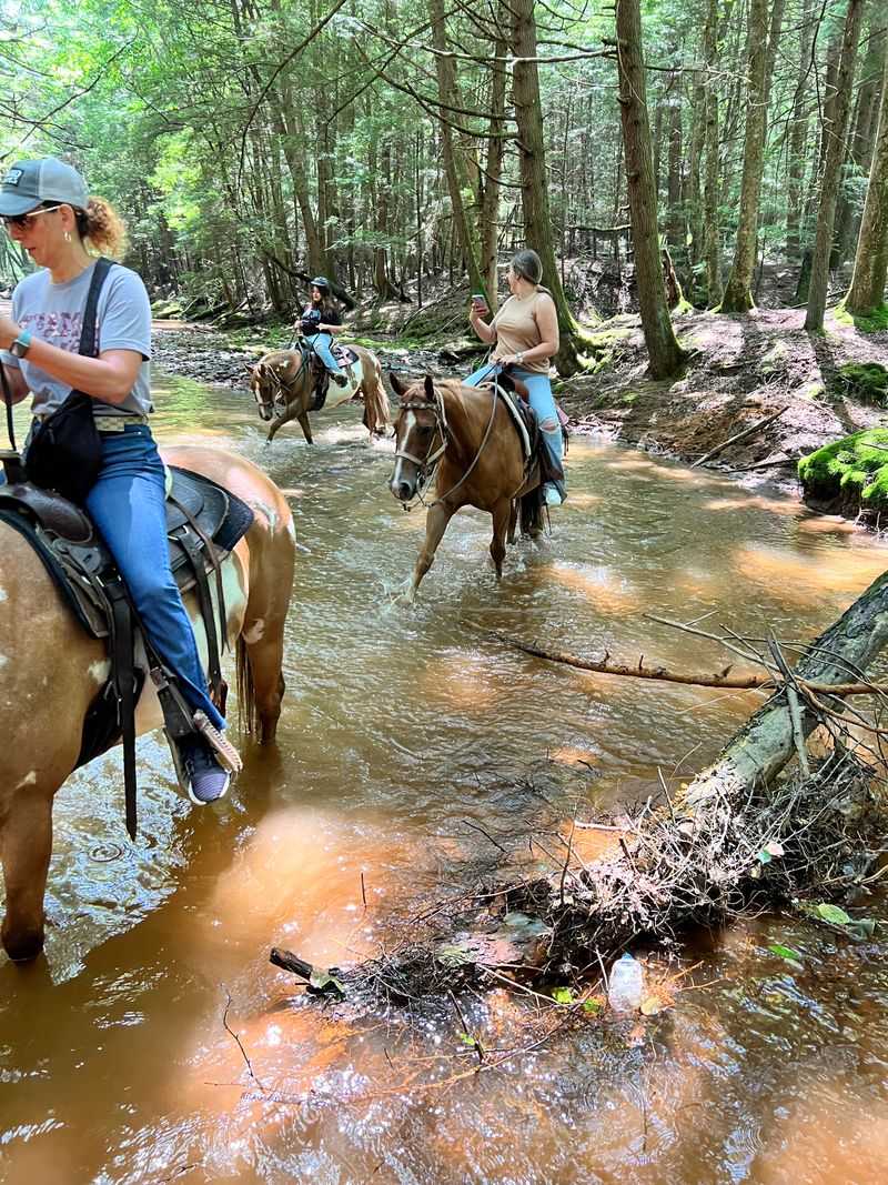 You'll Cross Creeks and Navigate Real Wilderness Terrain