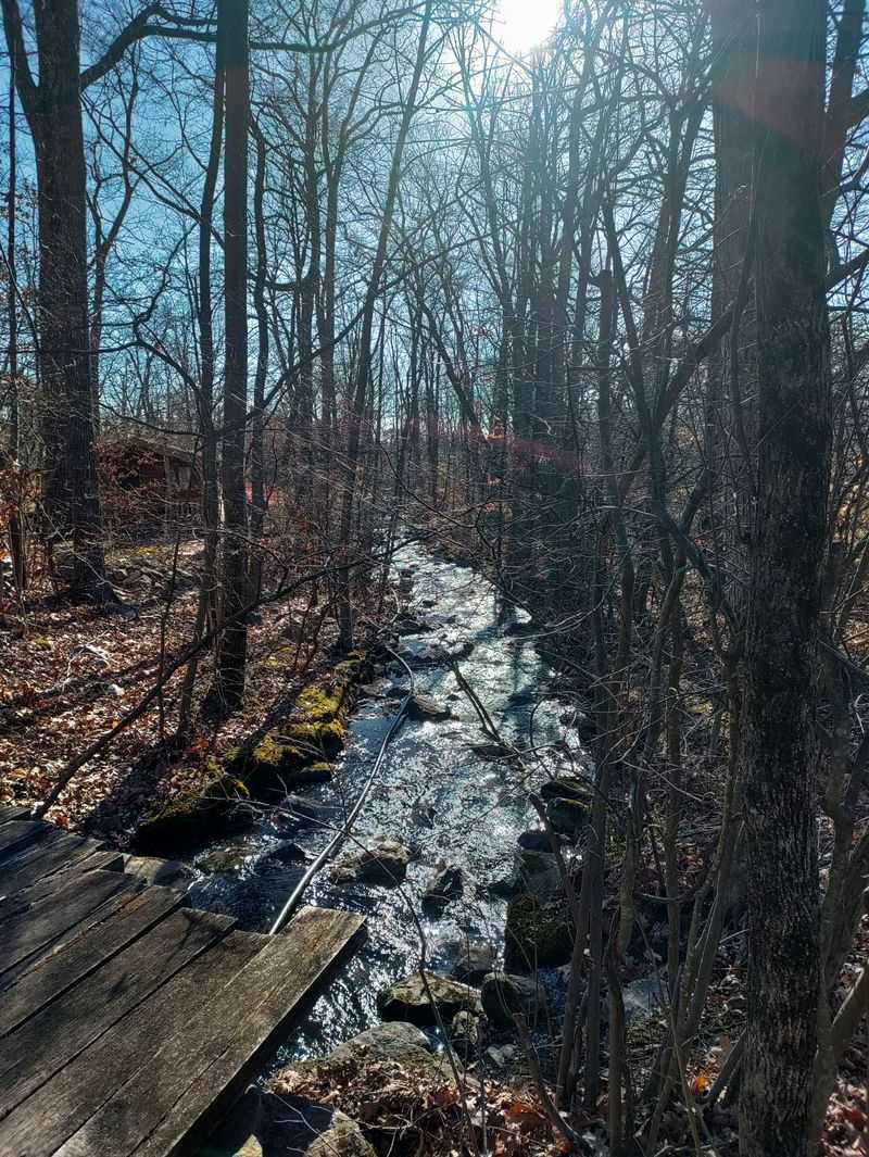 Meeting The Smaller Residents