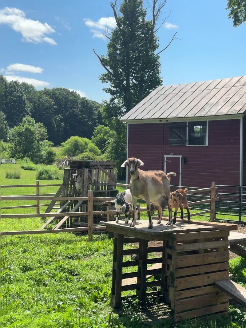 The Hudson Valley Backdrop That Makes Everything Taste Better
