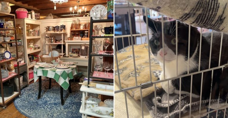 The Huge Resale Shop In Maine That Treasure Hunters Will Absolutely Love