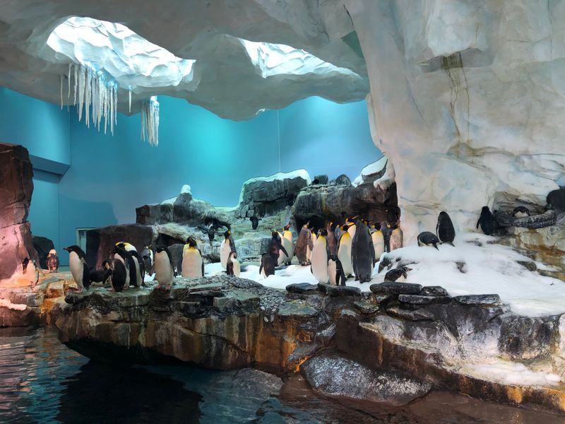 Snow-Kissed Shows And A Rink That Glitters