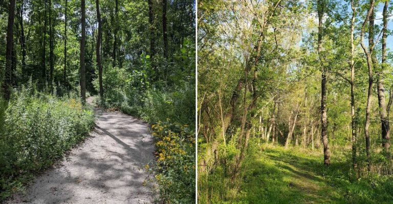 The Illinois Hiking Trails Most Tourists Still Haven’t Found (And That’s Surprising)