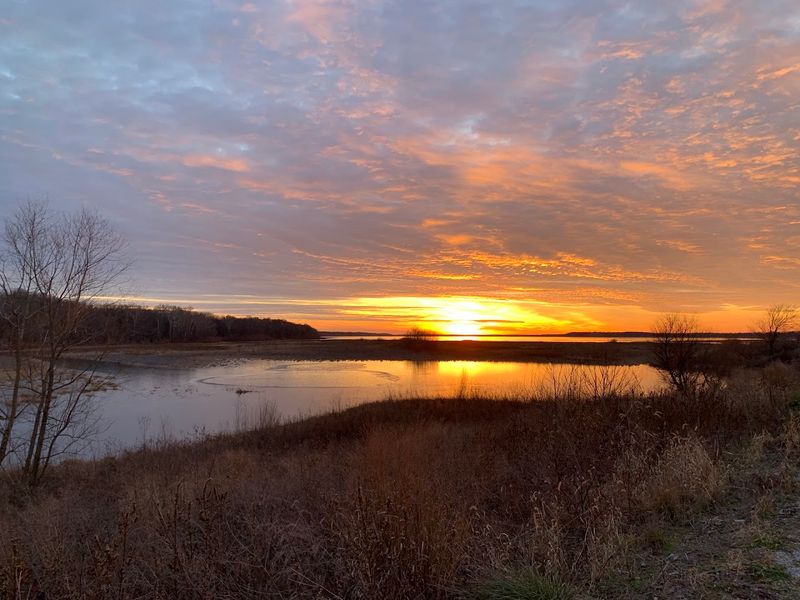 Planning Your Visit To See The Cranes At Their Best
