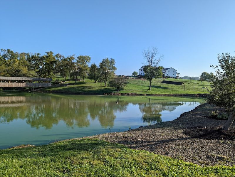 The Walking Areas and Pond