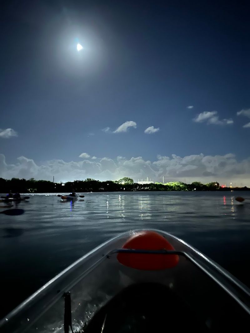 The Indian River Lagoon Is One Of The Best Bioluminescent Spots On Earth