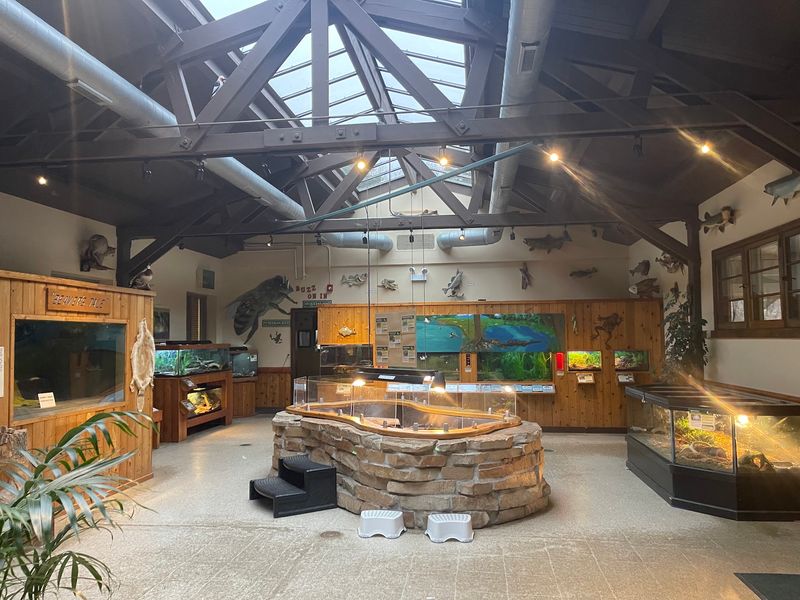 The Indoor Interpretive Center And Its Live Critters