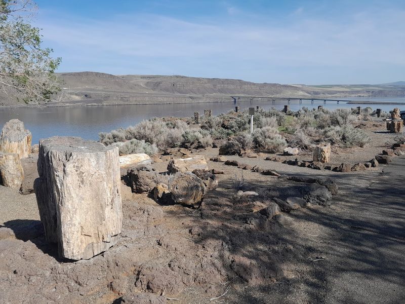 Washington's Official State Gem Lives Right Here