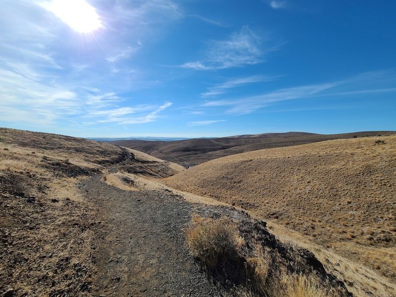 Walking The Trees Of Stone Interpretive Trail