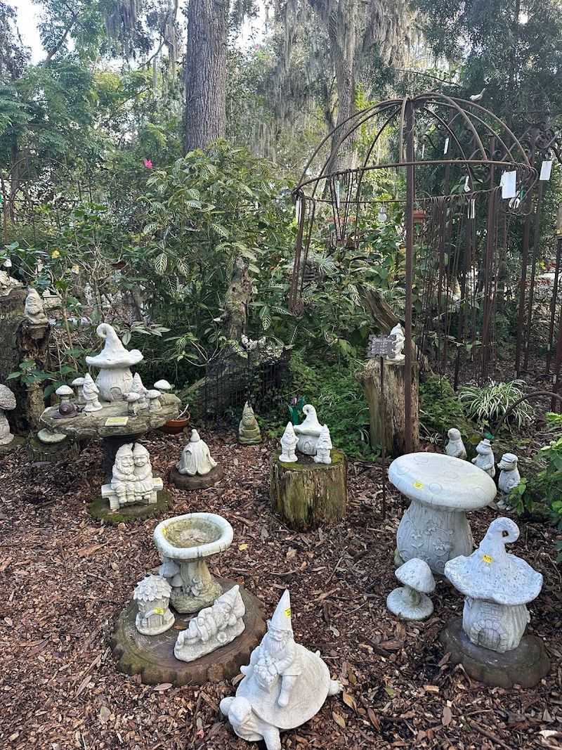 The Wandering Trails That Pull You In