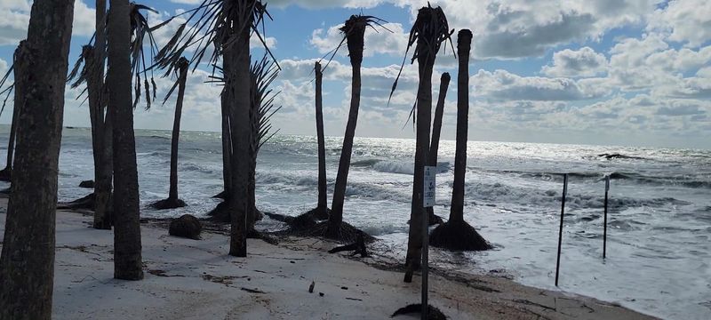 The Island That Served As A Native American Prison