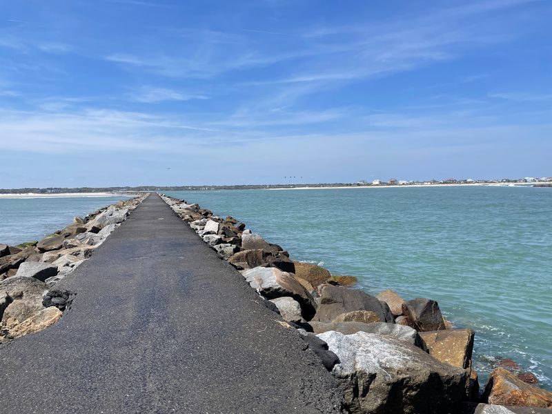 The Jetty Attracts Shorebirds And Marine Life