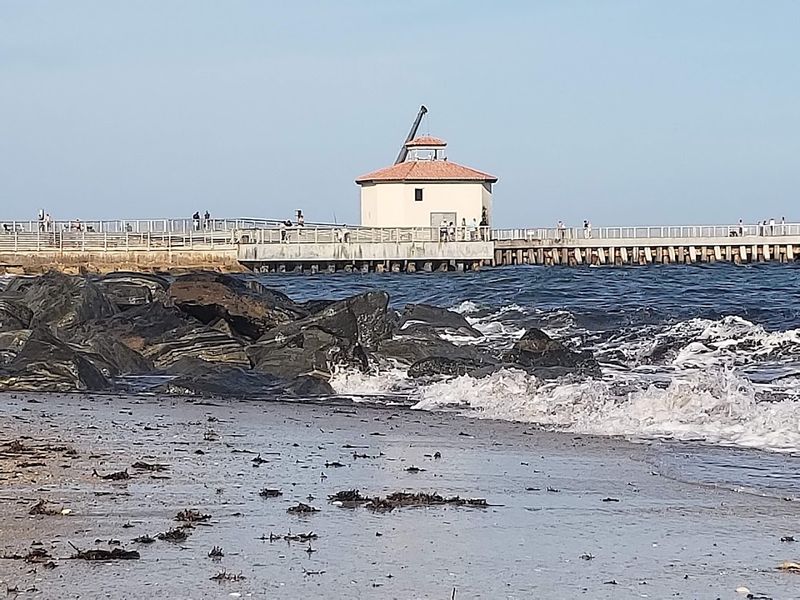 The Jetty Rocks Shelter A Surprising Array Of Marine Life Visible Without Ever Getting Wet