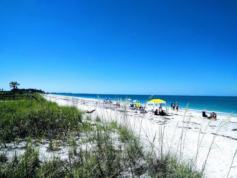 Shell Collecting Reaches Legendary Status Here