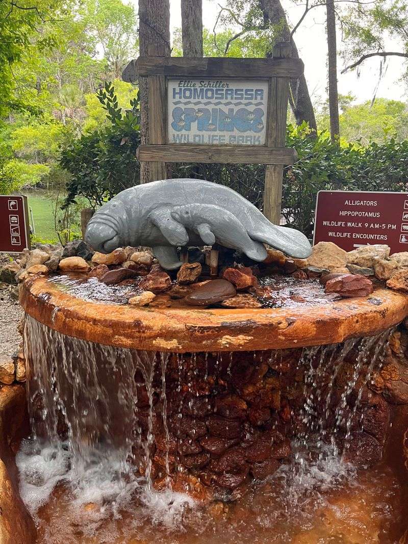 Seasonal Spectacles And Special Events