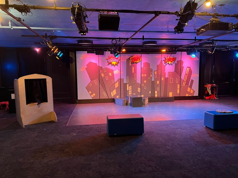 The Theater Room And Performing Arts Space