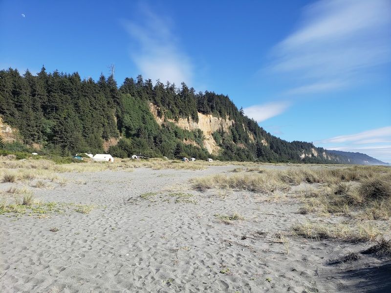 Gold Bluffs Beach