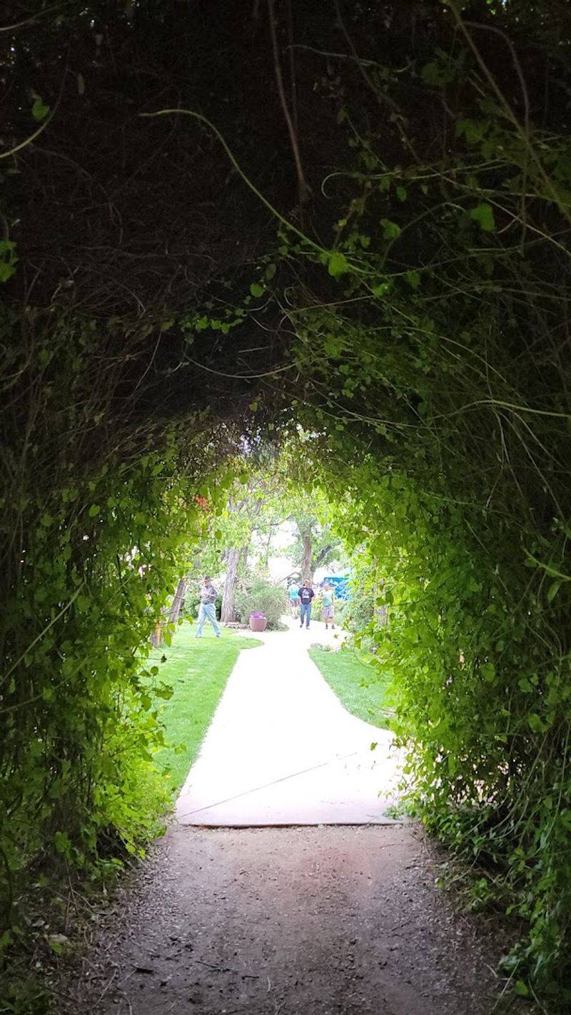 The Kind Of Place That Feels Like A Local Secret