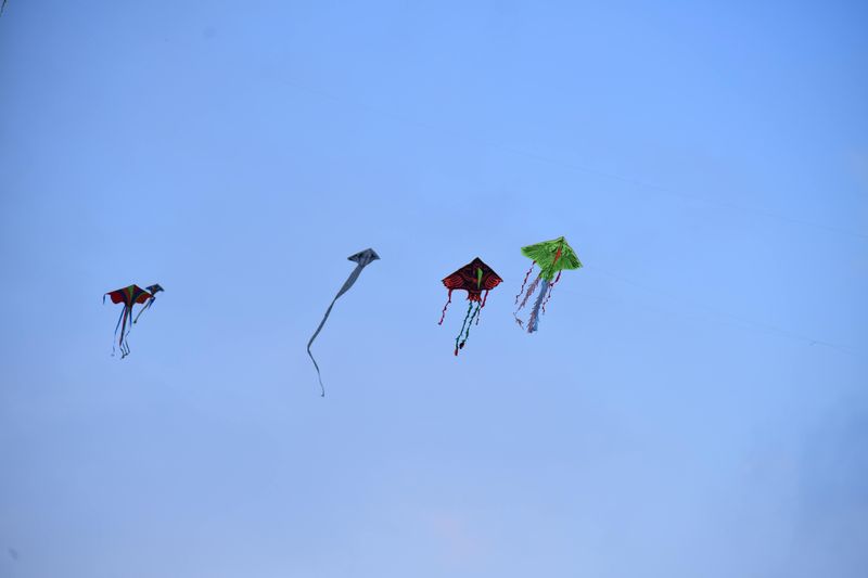 The Kite Festival at Grand Haven, Grand Haven The Kite Festival at Grand Haven, Grand Haven