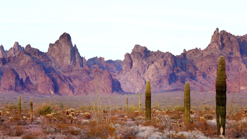 The Kofa National Wildlife Refuge The Kofa National Wildlife Refuge