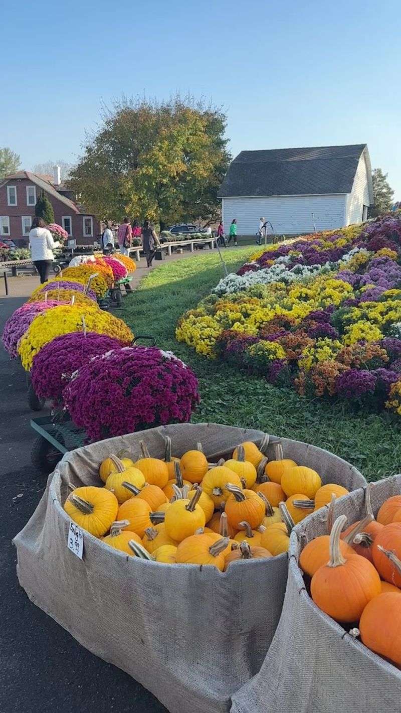 Seasonal Pumpkins, Gourds, And Fall Decor