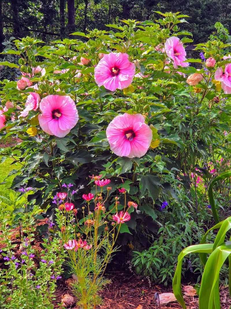 The Open Lawn Space That Invites You To Slow Down