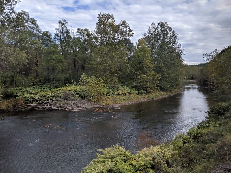 The Lackawaxen River Views Are The Real Star