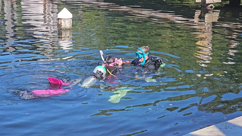 Guests Can Experience SNUBA Even Without A Scuba Certification