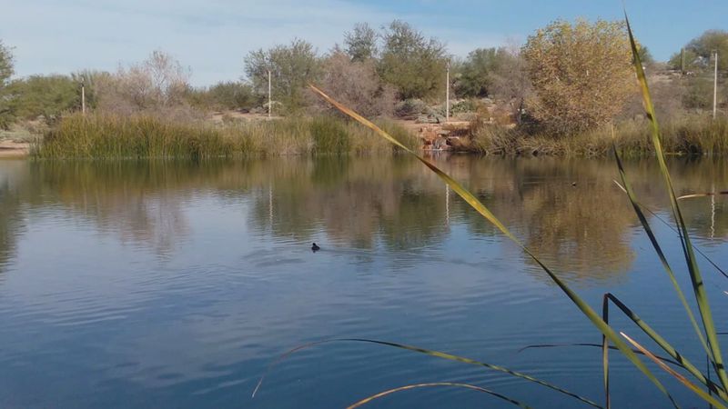 Trails That Feel Made For Wandering