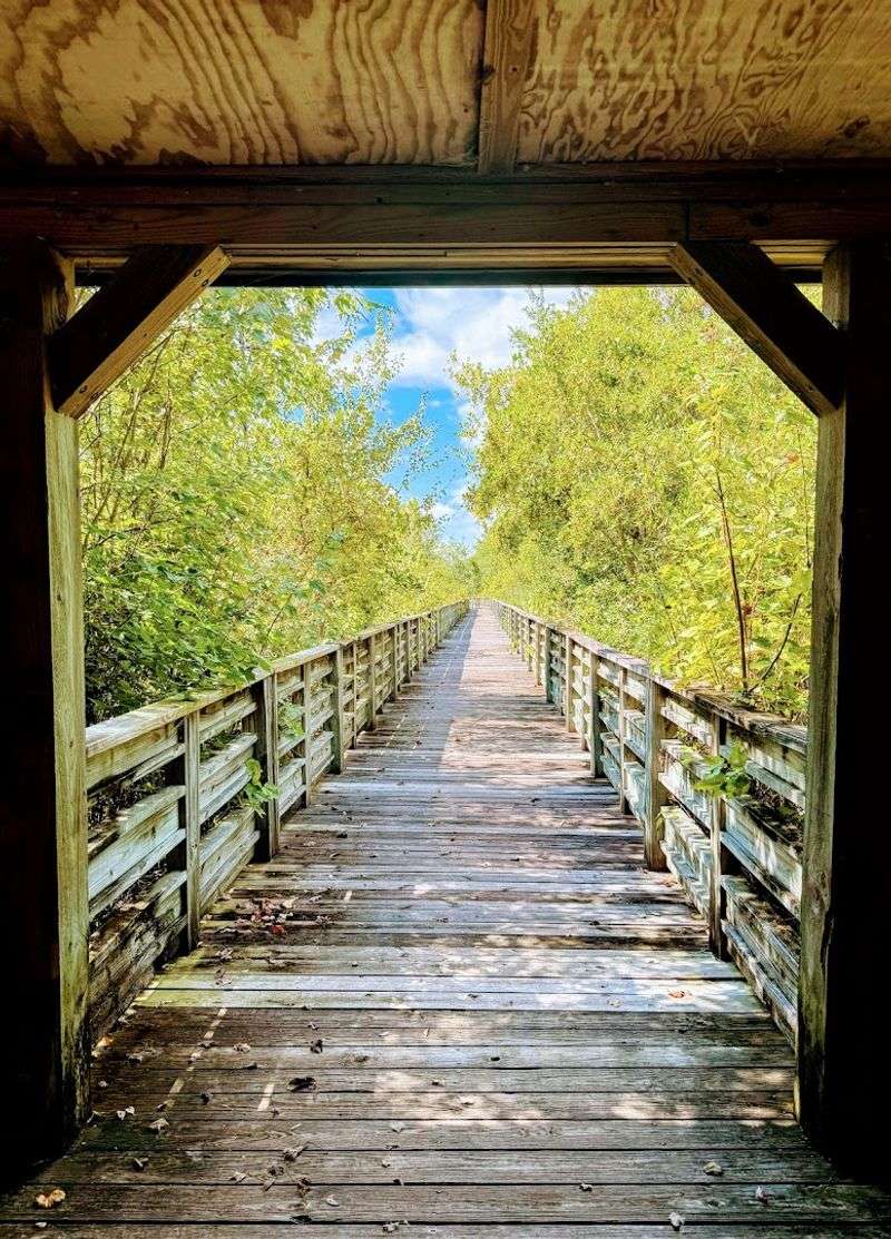 Lake Waccamaw Is Where You Realize You Packed Too Much Stuff