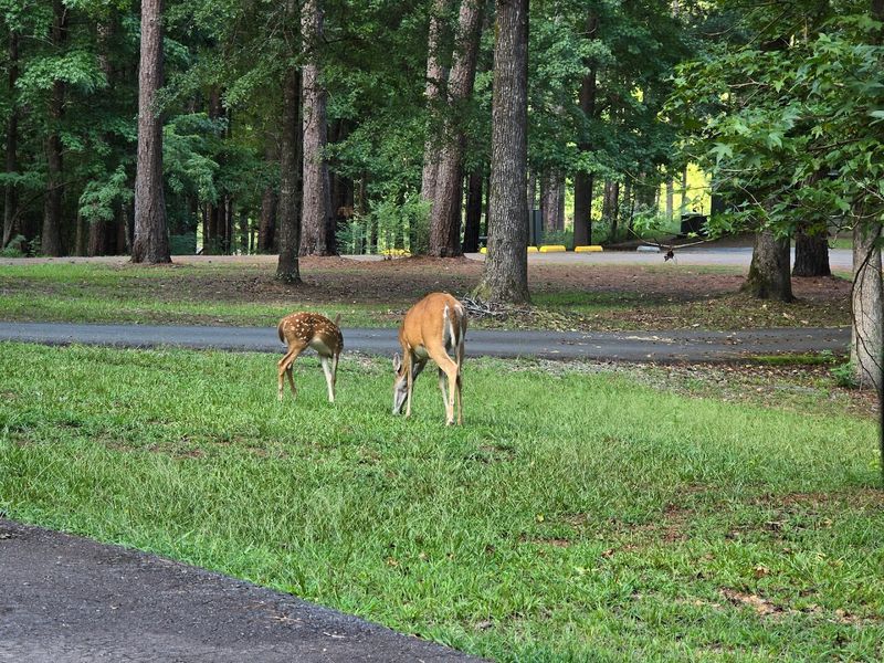 The Location Makes The Drive Part Of The Experience