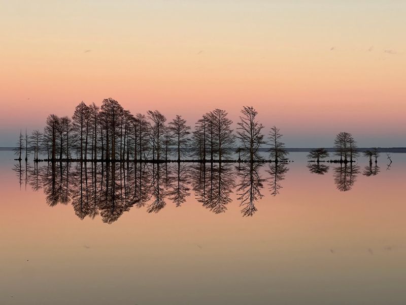 The Lake That Almost Vanished