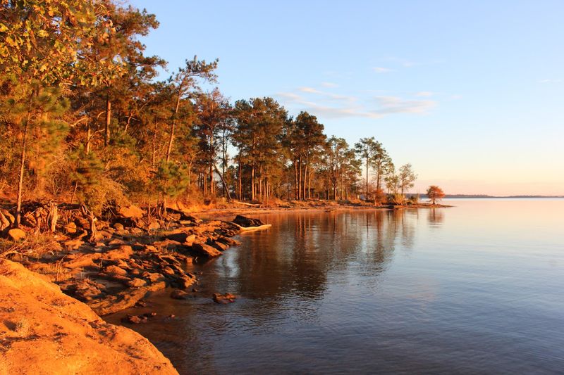 George T. Bagby State Park At A Glance