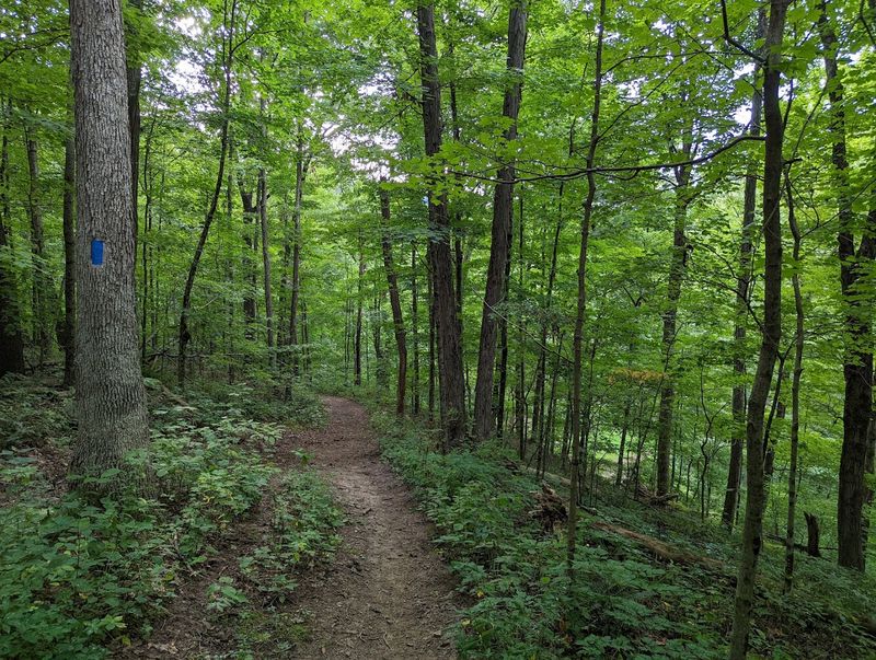 Trails That Make the Hills Worth Every Step