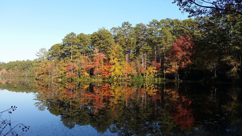 The Lake That Stops You In Your Tracks