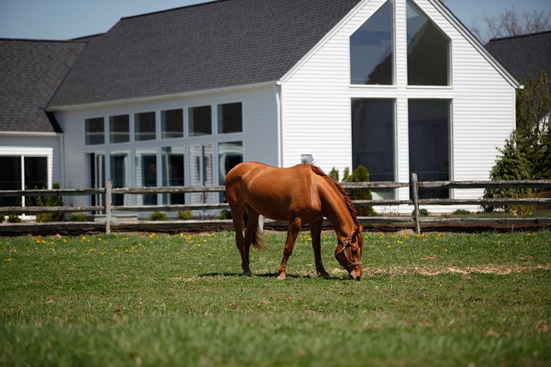Walden Inn and Spa, Aurora, Ohio
