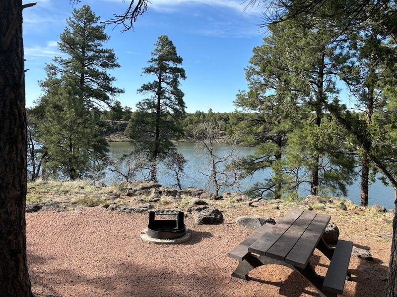 The Lakeside Walking Trail