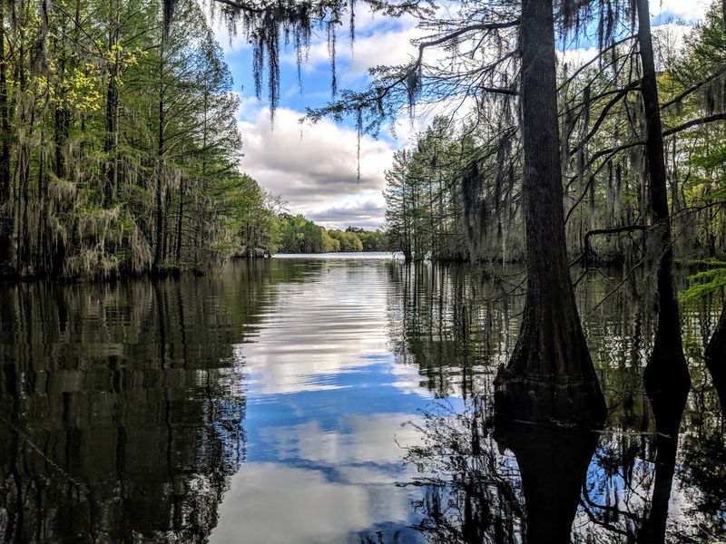 The Largest Lake In South Carolina