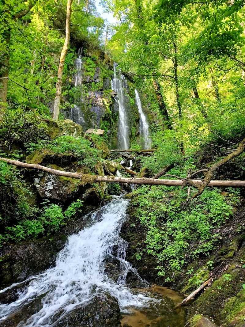 Lee Falls Is Surrounded By Towering Rock Walls
