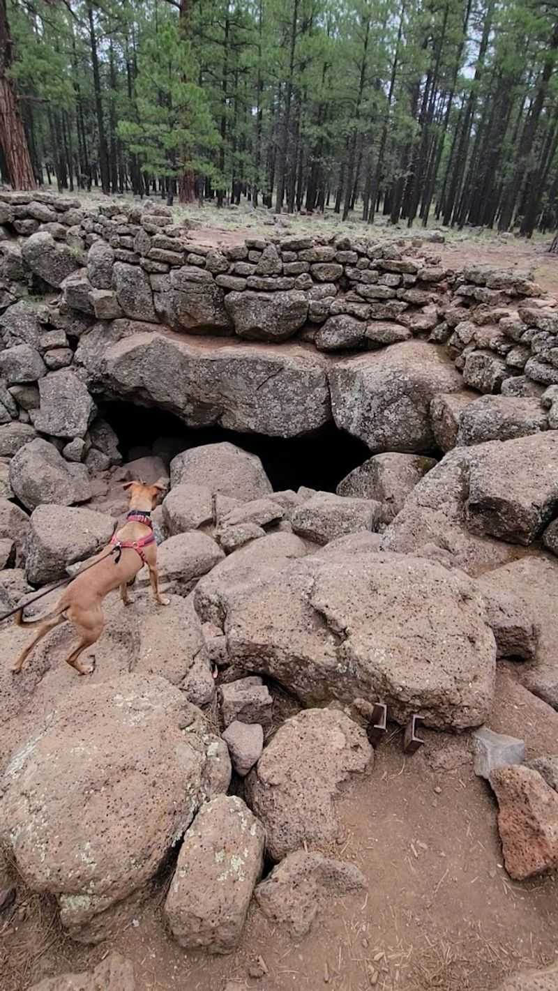 The History Behind The Discovery