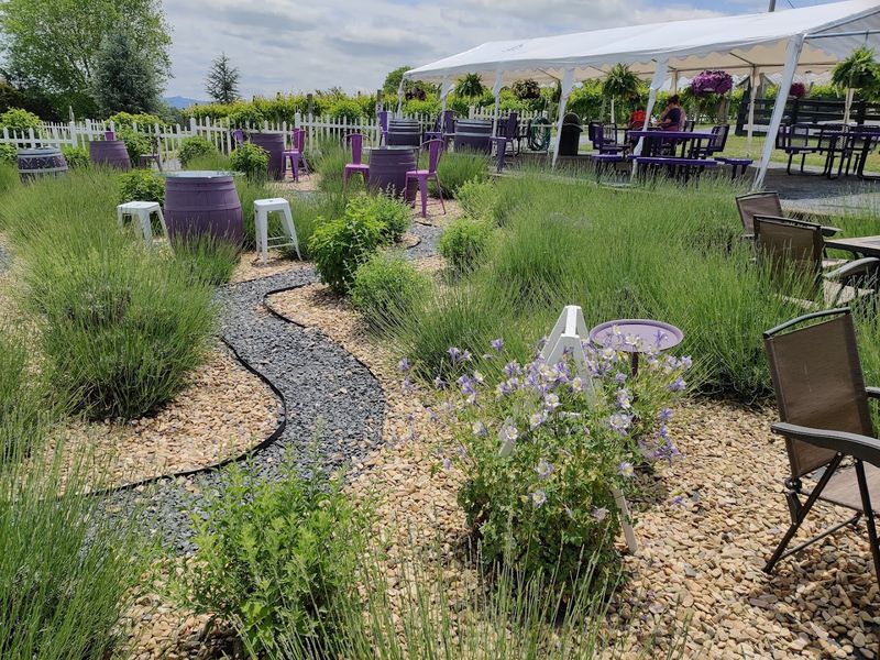 The Lavender Shop Is A Sensory Overload In The Best Way
