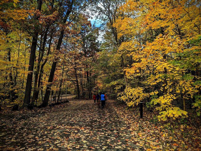 The Forest Atmosphere and Seasonal Changes