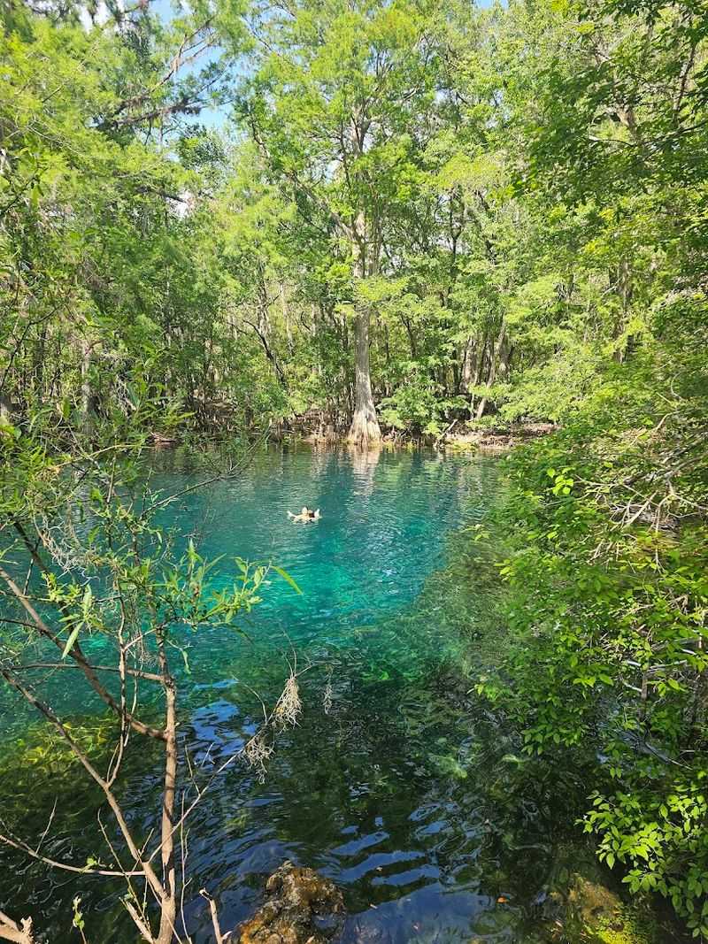 The Crystal-Clear First-Magnitude Spring