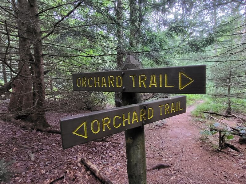 More Than 40 Miles of Hiking Trails
