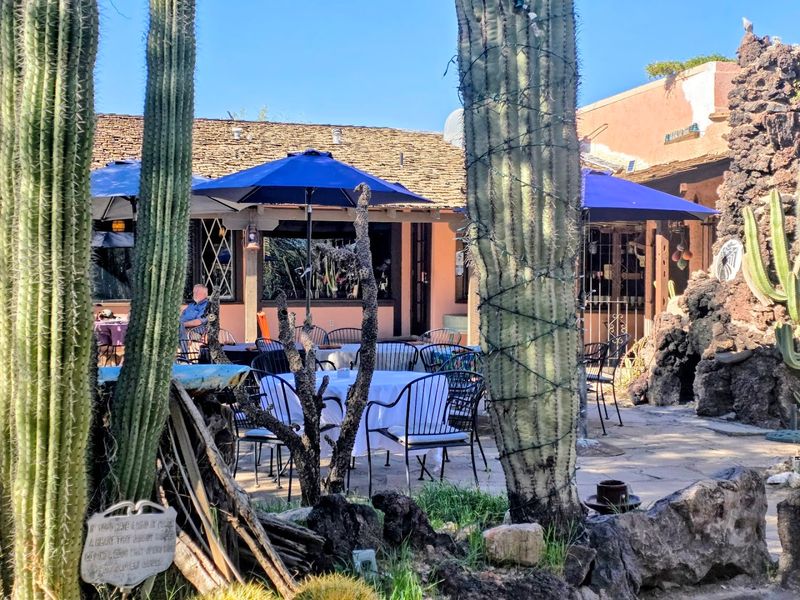 The Legendary Cactus Garden You Have To Wander Through