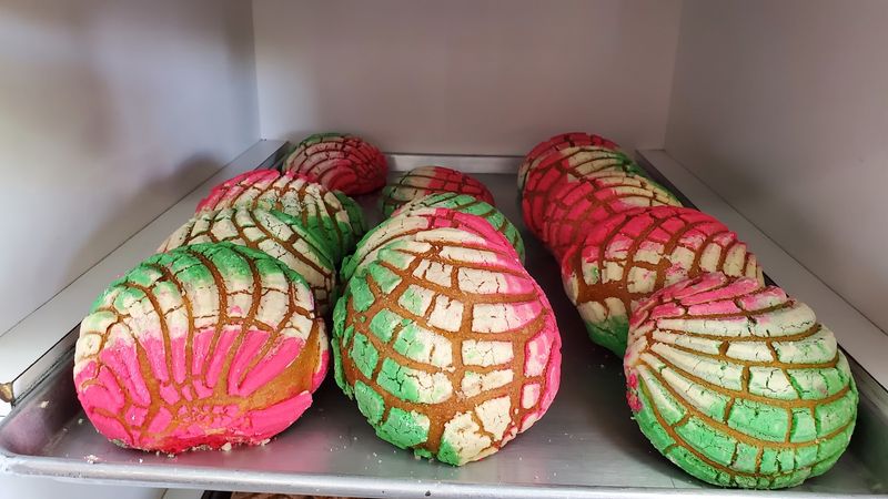 The Legendary Conchas That Started It All The Legendary Conchas That Started It All