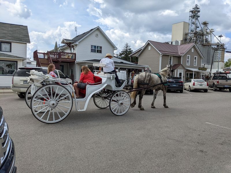 Horse-Drawn Buggy Tours Through Amish Country