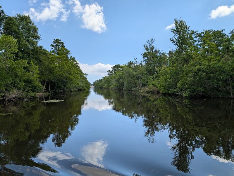 The Legendary Folklore Of Manchac Swamp