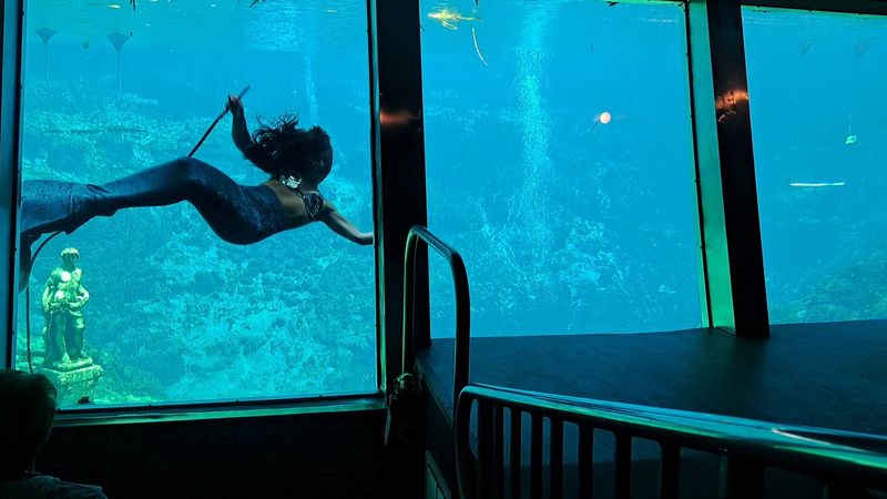 The Legendary Mermaid Show That Started It All